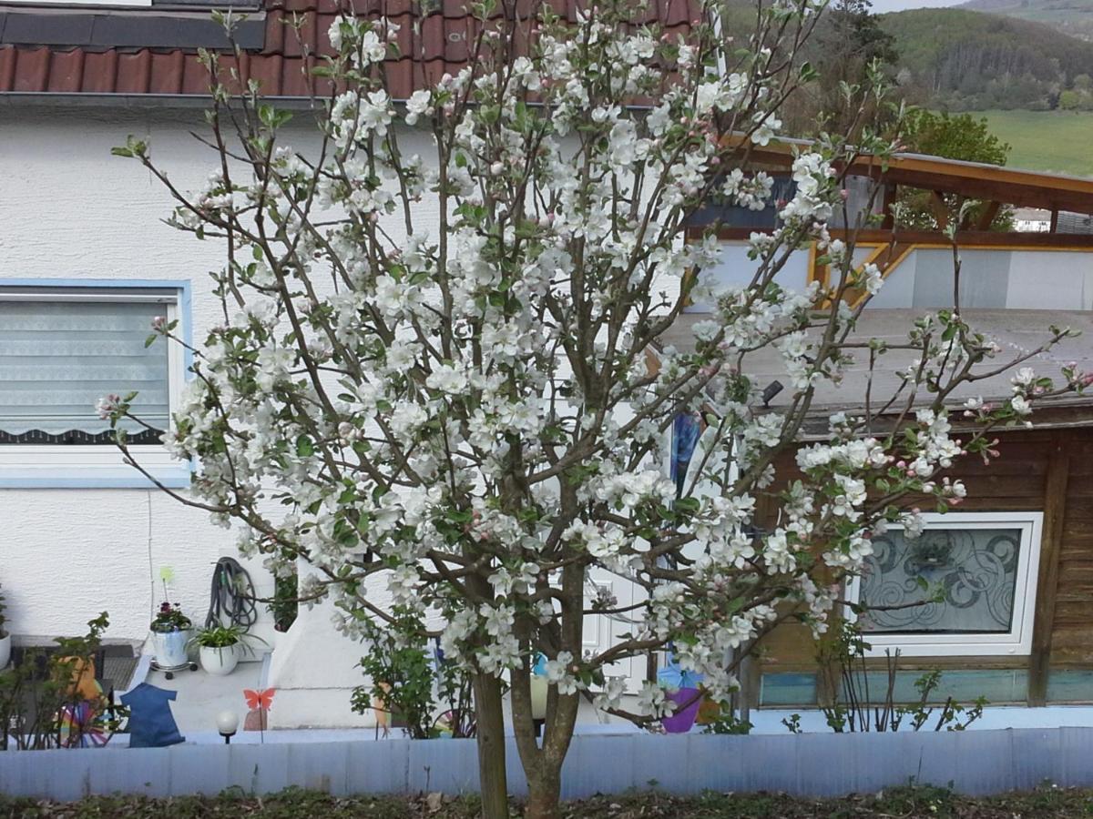 Ferienwohnung Galina 1 Rockenhausen Luaran gambar